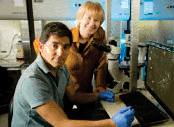 Image: Senior author Dr. Beverly M. Emerson (back right) and first author Dr. Fernando Lopez-Diaz (Photo courtesy if the Salk Institute for Biological Studies).